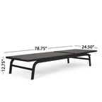 Contemporary Chaise Lounge for Outdoor Relaxation