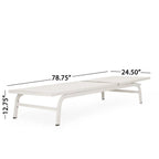 Contemporary Chaise Lounge for Outdoor Relaxation