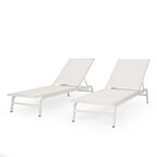 Contemporary Chaise Lounge for Outdoor Relaxation