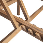 5-Position Adjustable Backrest Double Chaise Lounge Outdoor