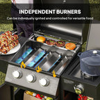 Castelle Flame 15K BTU Barbecue Propane Liquid Propane Grill with Side Burner